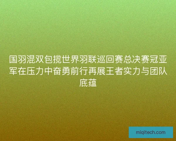 国羽混双包揽世界羽联巡回赛总决赛冠亚军在压力中奋勇前行再展王者实力与团队底蕴 国羽混双包揽世界羽联巡回赛总决赛冠亚军在压力中奋勇前行再展王者实力与团队底蕴